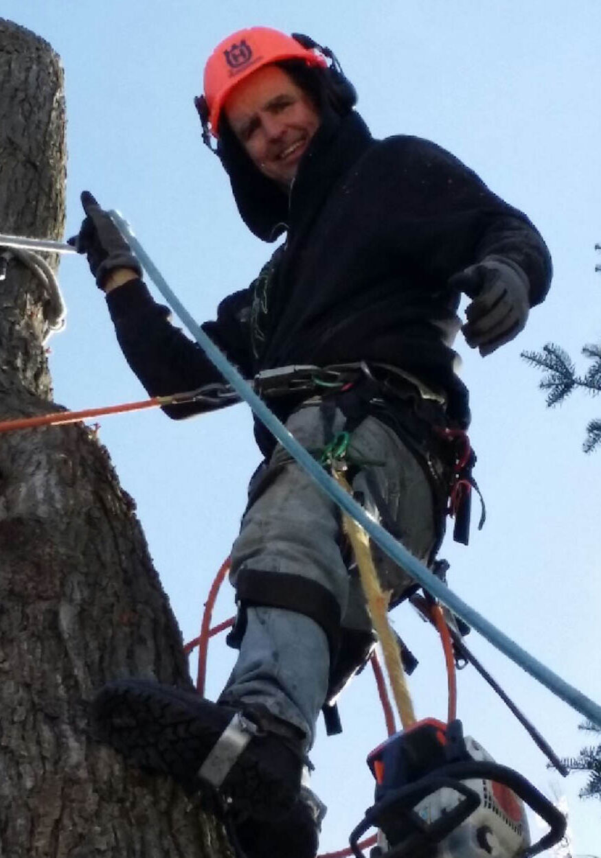 Safe Tree – Michigan Tree Removal, Tree Trimming, Stump Grinding